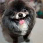 お客様のご紹介