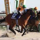 競馬予想結果2026:フェブラリーS(G1)