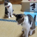 恵利原の水穴