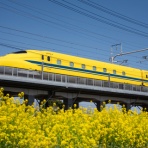 のんちゃんの撮り鉄日誌