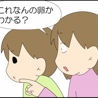 網戸に産みつけられたもの