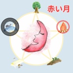            COCOemiブログ