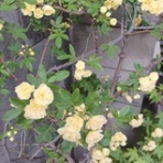 ニュース逆さ読み