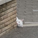 まさかの待ち伏せ？( *´艸｀)　～今日のおやつ～