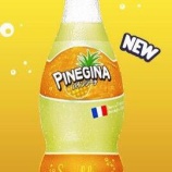 『【超速報】「パインジーナ」発売決定ッッ！？』の画像