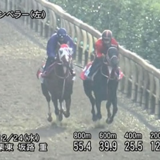 ☆うまなみ・競馬にゅーす速報