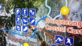 【平昌五輪】日本人「中国と共同開催すればいい」 → 中国人「やめろ頼むから中国には来るな!」