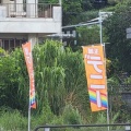 【沖縄知事選】選挙告示前に『玉城デニー』のぼり旗が掲示される…地元民「憲法の前に公選法守れよ」