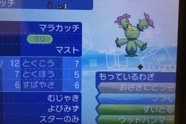 木曜会員マストのブログ ミラクル交換