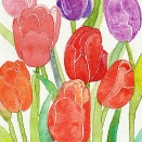 1年2か月、膀胱がんの義姉のお世話の日々。