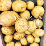 はかりびと　測量日記　＾＾