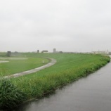 『細かい雨がずっと降り続いています』の画像