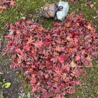 僧侶でアナウンサー川村妙慶の日替わり法話