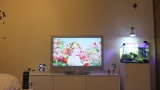 【部屋晒し】９月の週末部屋うｐスレ【2012年第38週パート4】