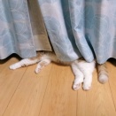 夜間警備員不在継続中💦