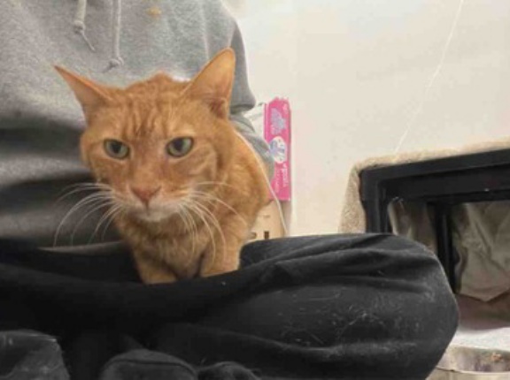 因縁の皮下輸液　20251211