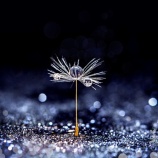 『食べたことを忘れる』の画像