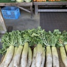 【旅行】尾鷲へ