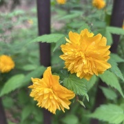 人生を、"困らないため"だけのものにしていませんか？