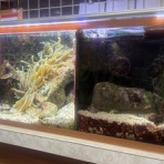 Beach Field　いいかげん日記帳Ⅲ