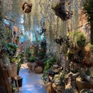 1月の「egg-東日本地区定例会」　無料体験参加者募集中！