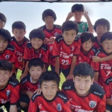 『エコパーク!』の画像