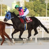 『【遠征馬情報】ネクストスター北日本にホッカイドウ競馬から6頭参戦!』の画像