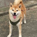 2回目の胃カメラ💦