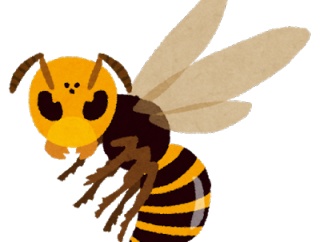 スズメバチが1匹いる部屋に24時間滞在出来たら100万円←チャレンジする？