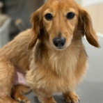 滋賀県　甲賀市　ワンラブ　カインズ甲賀店　ブログ