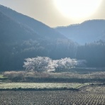 おでかけblog