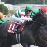 『【動画】スキルヴィング、倒れ込む瞬間がこちら...。』の画像