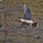やっちゃんの写真ライフ