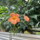 年休推奨日♪