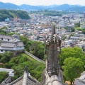 �Ϥ������˸����뼷���Į