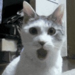 ゴルフおたくな日々 !(^^)! Second