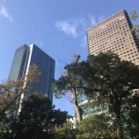 『転職活動はあまり細かく判断しない』の画像