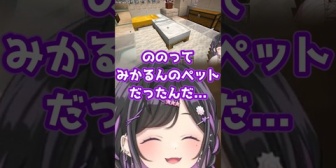 【にじさんじ】詩乃「ののってみかるんのペットだったんだ…」