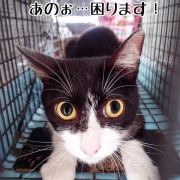 巣立ちの歌☆栄光