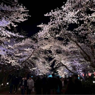 レジスタ長岡メンバーブログ