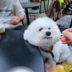 おにいちゃんになれるかな*oninare*