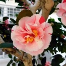 予定だけはたくさん