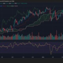 どんな火柱が？