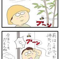 南天の花とクマバチ