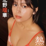 グラビアリークス