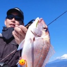 タイラバ。ホーム駿河湾でのタイラバ。