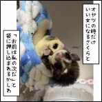 おもち母ちゃんの育児日記と趣味ブログ