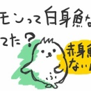 サーモンって白身魚なの知ってた？ねぇ　知ってた？