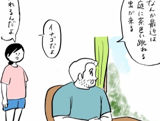 イナゴを食べない理由