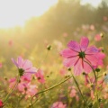 9月になりました。よくある質問①